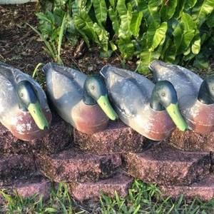 Meet your Posher, Wayne